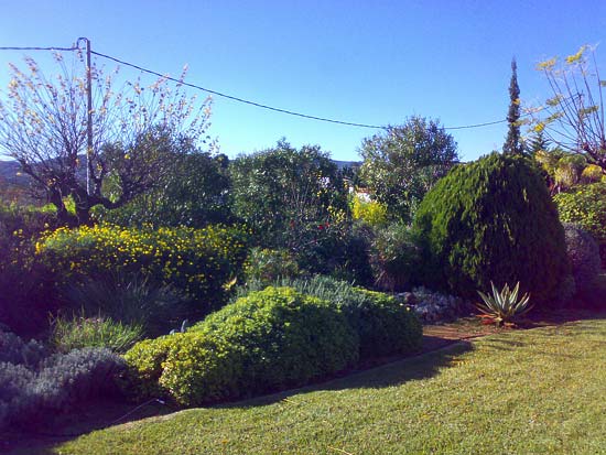 Zeer fraaie finca. Ideaal voor luxe Bed & Breakfast