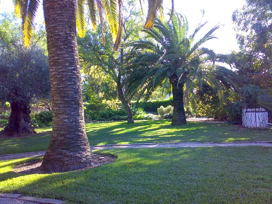Zeer fraaie finca. Ideaal voor luxe Bed & Breakfast