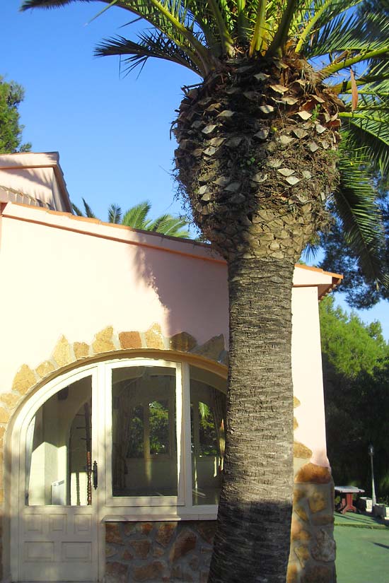 Restaurant beginnen? B&B? Dit pand ligt op een zeer commerci�le plek!